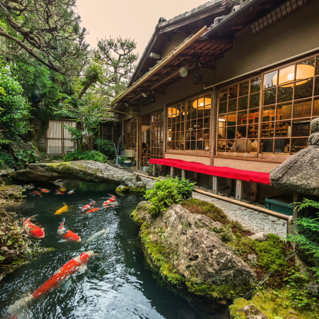 koi pond